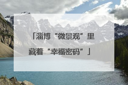 淄博“微景观”里藏着“幸福密码”