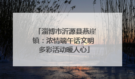 淄博市沂源县燕崖镇：浓情端午话文明 多彩活动暖人心