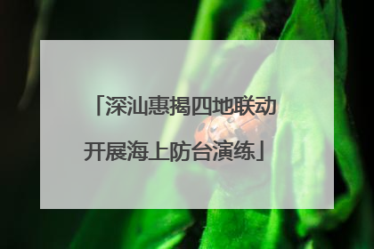 深汕惠揭四地联动开展海上防台演练