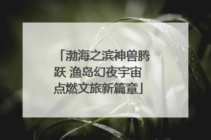 渤海之滨神兽腾跃 渔岛幻夜宇宙点燃文旅新篇章