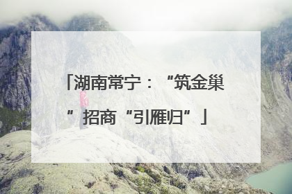 湖南常宁：“筑金巢”招商“引雁归”