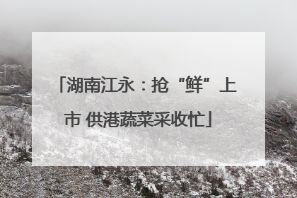 湖南江永：抢“鲜”上市 供港蔬菜采收忙