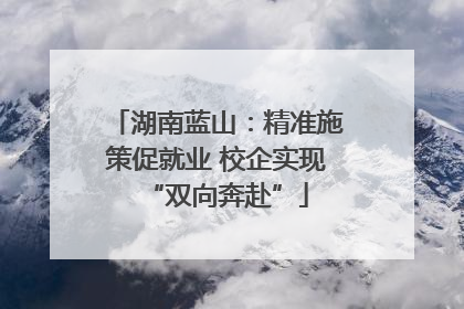 湖南蓝山：精准施策促就业 校企实现“双向奔赴”