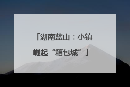 湖南蓝山：小镇崛起“箱包城”