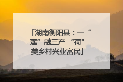 湖南衡阳县：一“莲”融三产 “荷”美乡村兴业富民