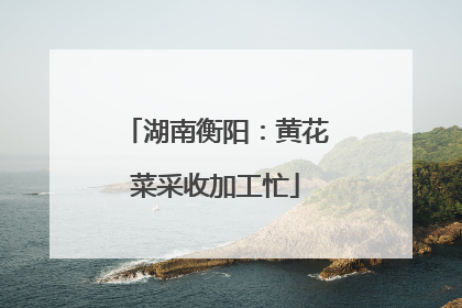 湖南衡阳：黄花菜采收加工忙