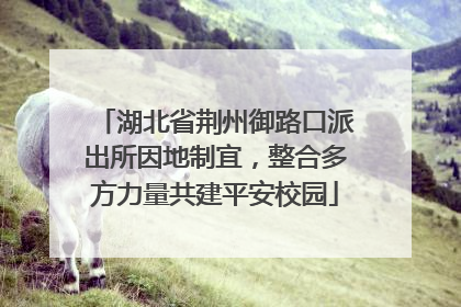 湖北省荆州御路口派出所因地制宜，整合多方力量共建平安校园