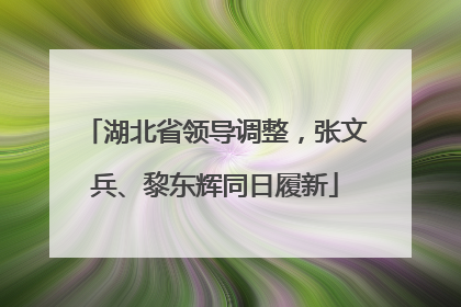 湖北省领导调整，张文兵、黎东辉同日履新