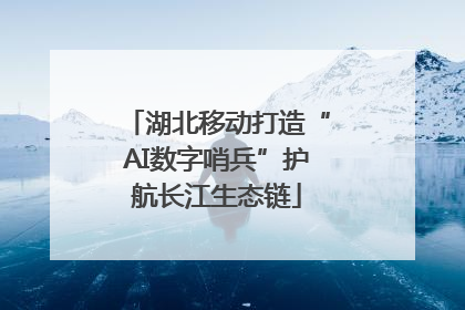 湖北移动打造“AI数字哨兵”护航长江生态链