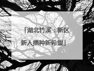 湖北竹溪：新区新人播种新希望