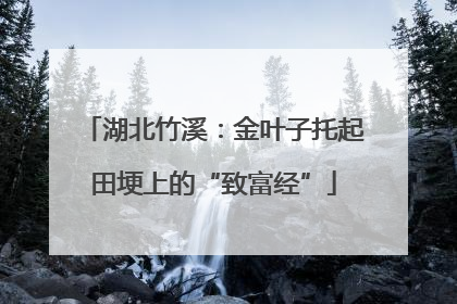 湖北竹溪：金叶子托起田埂上的“致富经”