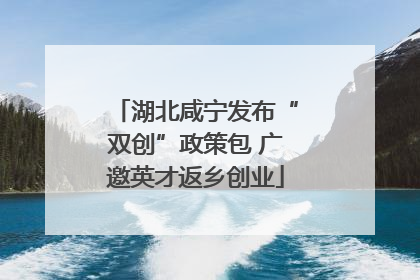 湖北咸宁发布“双创”政策包 广邀英才返乡创业