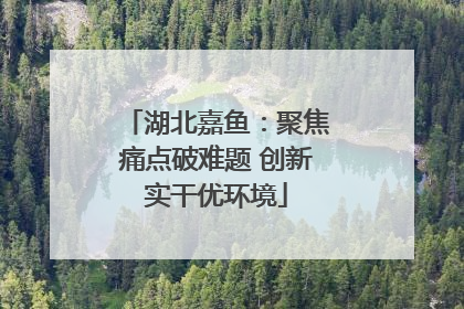 湖北嘉鱼：聚焦痛点破难题 创新实干优环境