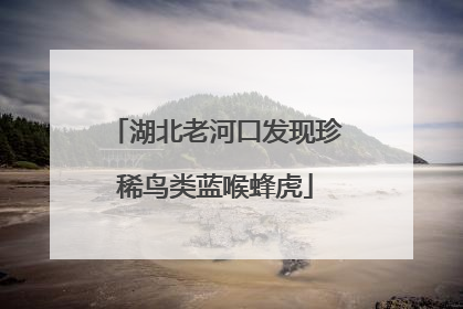 湖北老河口发现珍稀鸟类蓝喉蜂虎