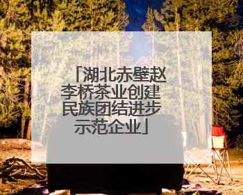 湖北赤壁赵李桥茶业创建民族团结进步示范企业