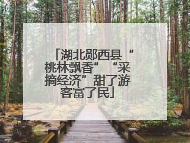 湖北郧西县“桃林飘香”“采摘经济”甜了游客富了民