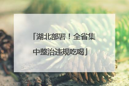 湖北部署！全省集中整治违规吃喝