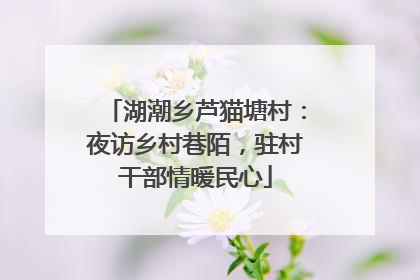 湖潮乡芦猫塘村：夜访乡村巷陌，驻村干部情暖民心