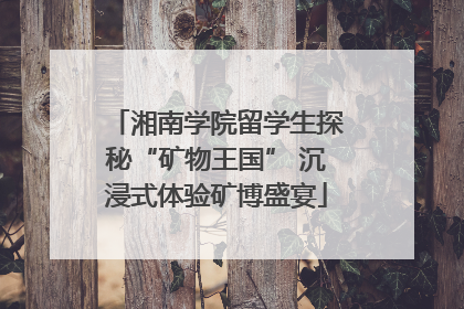 湘南学院留学生探秘“矿物王国” 沉浸式体验矿博盛宴