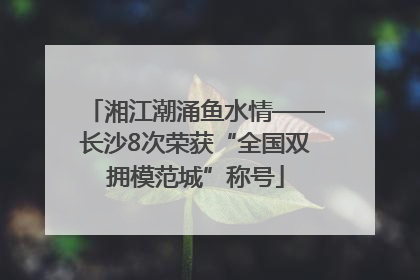 湘江潮涌鱼水情——长沙8次荣获“全国双拥模范城”称号