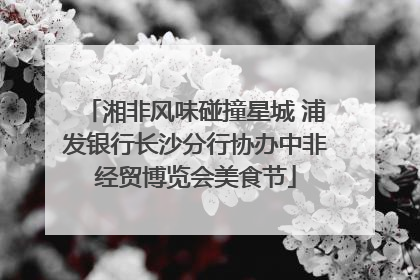 湘非风味碰撞星城 浦发银行长沙分行协办中非经贸博览会美食节