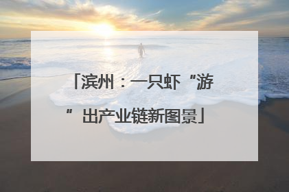 滨州：一只虾“游”出产业链新图景