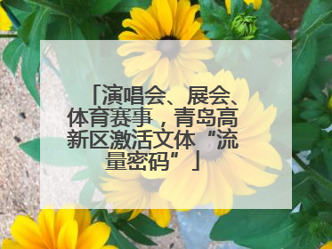 演唱会、展会、体育赛事，青岛高新区激活文体“流量密码”