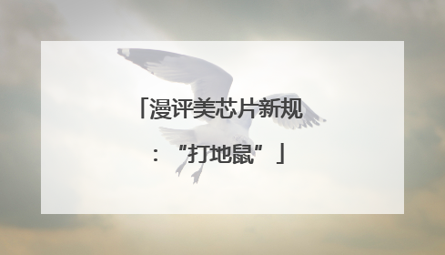 漫评美芯片新规：“打地鼠”