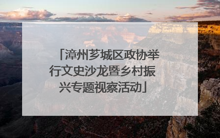 漳州芗城区政协举行文史沙龙暨乡村振兴专题视察活动