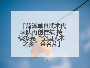 菏泽单县武术代表队再创佳绩 持续擦亮“全国武术之乡”金名片