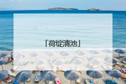 荷绽清池