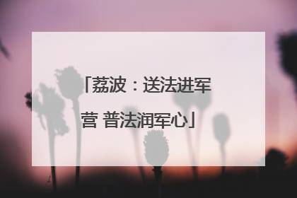 荔波：送法进军营 普法润军心