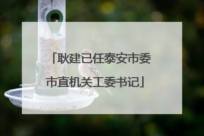耿建已任泰安市委市直机关工委书记
