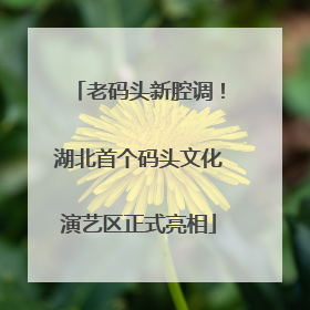 老码头新腔调！湖北首个码头文化演艺区正式亮相