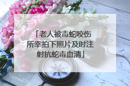 老人被毒蛇咬伤 所幸拍下照片及时注射抗蛇毒血清