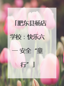 肥东县杨店学校：快乐六一 安全“童行”