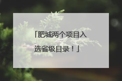 肥城两个项目入选省级目录！