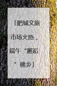 肥城文旅市场火热，端午“邂逅”桃乡