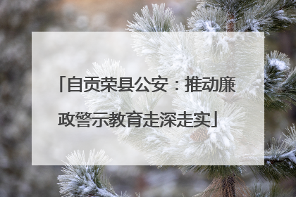 自贡荣县公安：推动廉政警示教育走深走实