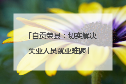 自贡荣县：切实解决失业人员就业难题