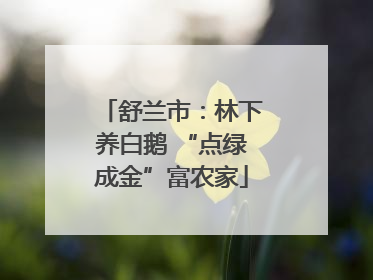 舒兰市：林下养白鹅 “点绿成金”富农家