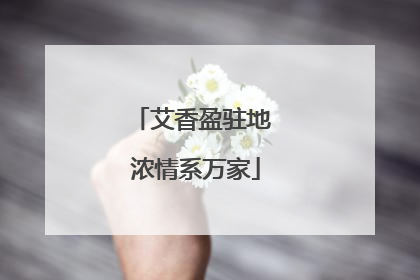艾香盈驻地 浓情系万家