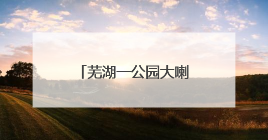 芜湖一公园大喇叭辱骂遛狗市民？真相来了……