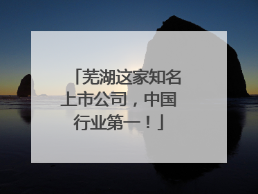 芜湖这家知名上市公司，中国行业第一！