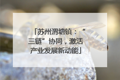 苏州渭塘镇：“三链”协同，激活产业发展新动能