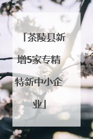 茶陵县新增5家专精特新中小企业