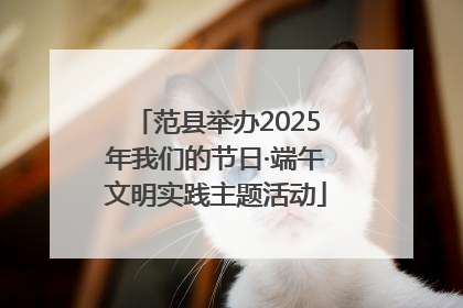 范县举办2025年我们的节日·端午文明实践主题活动
