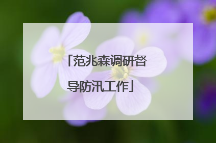范兆森调研督导防汛工作