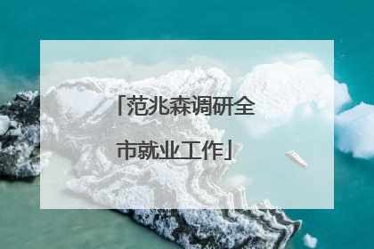 范兆森调研全市就业工作