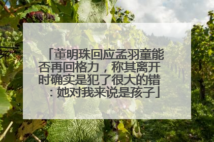 董明珠回应孟羽童能否再回格力，称其离开时确实是犯了很大的错：她对我来说是孩子